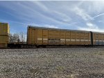 BTTX 880059